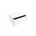 Caixa Segia Clean M 30x20x12cm